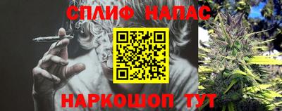 СК Донецк
