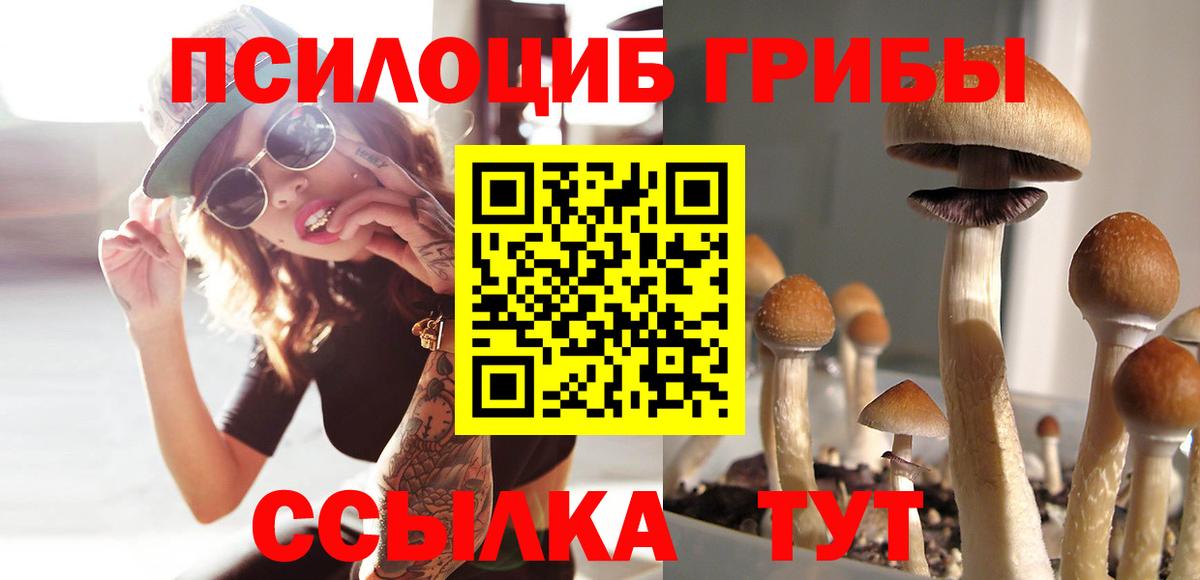 Псилоцибиновые грибы прущие грибы  Вход с VPN  где можно купить   Лосино-Петровский 